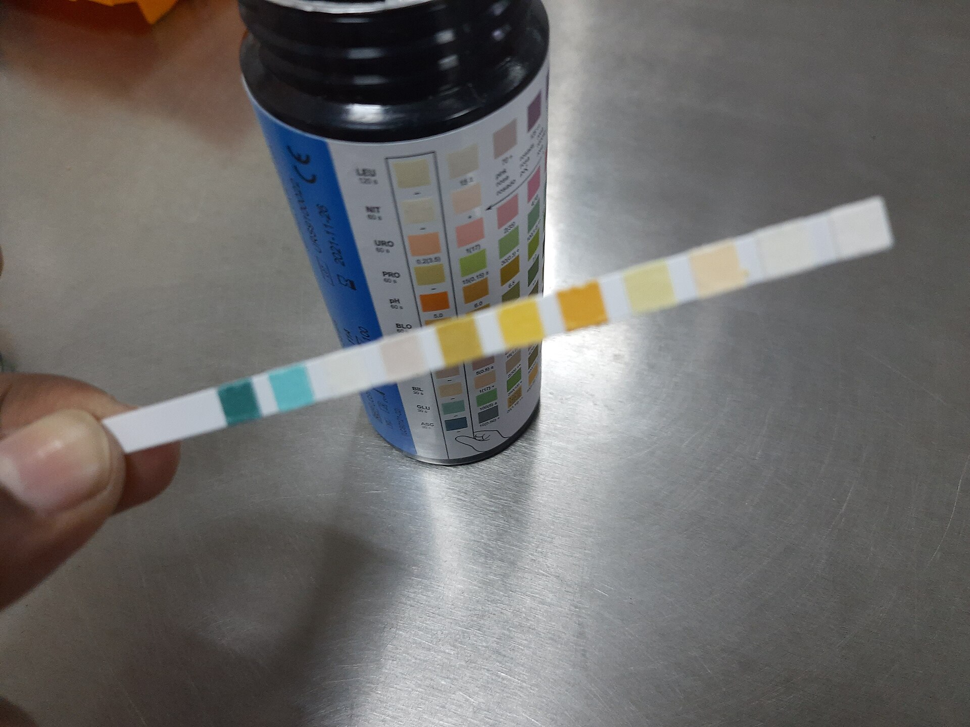 pHを調べる試験紙